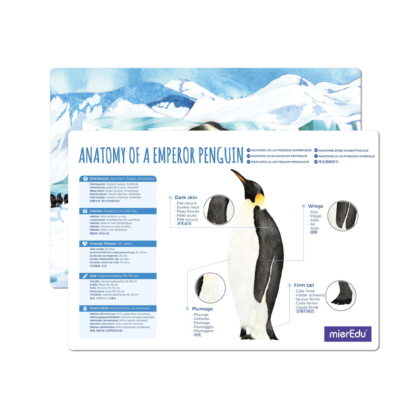 Adjustable ECO 3D Puzzles - Emperor Penguin