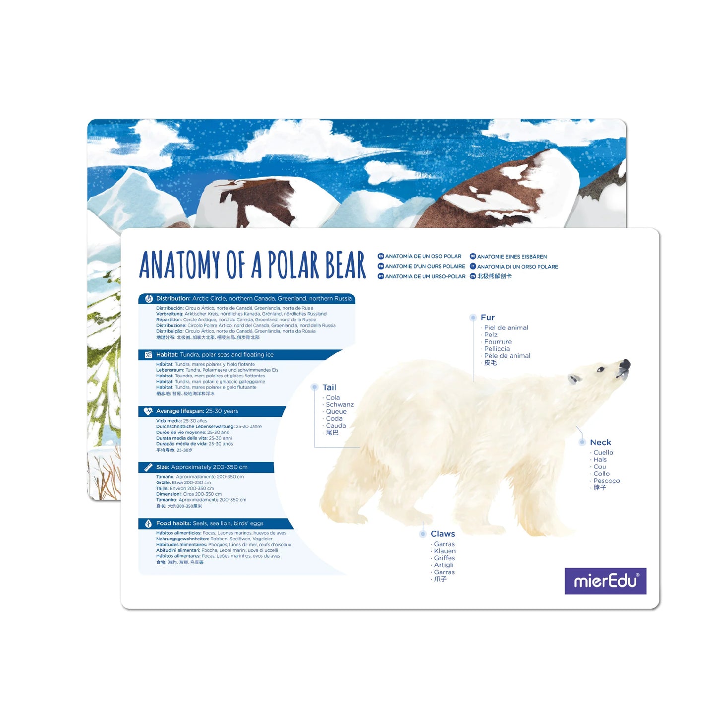 Adjustable ECO 3D Puzzles - Polar Bear