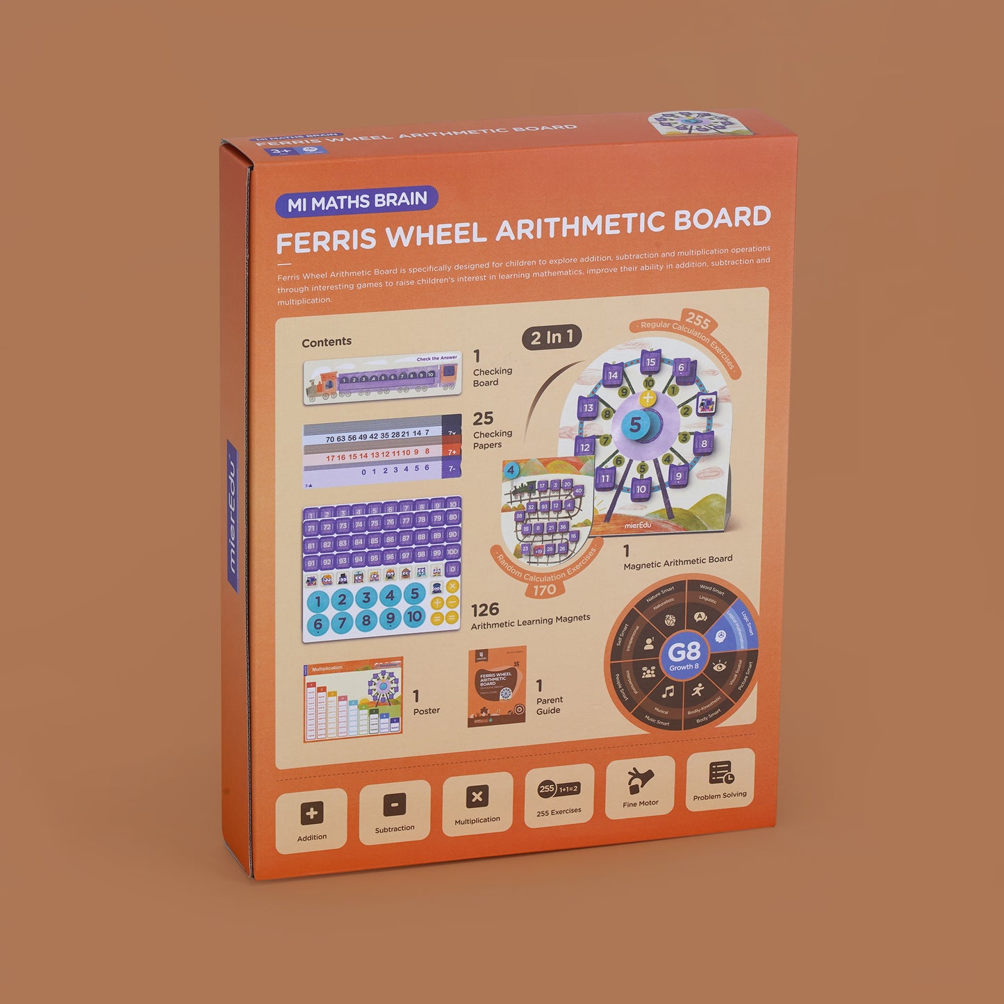 Ferris Wheel Arithmetic Board
