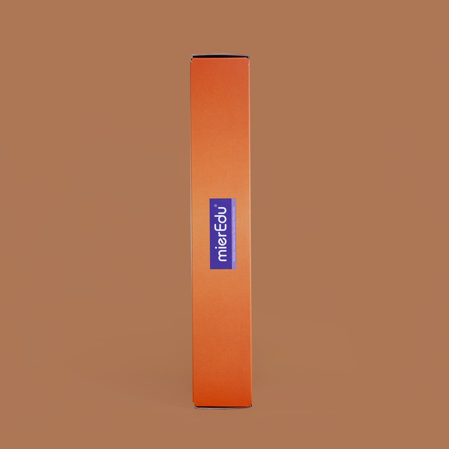 Ferris Wheel Arithmetic Board