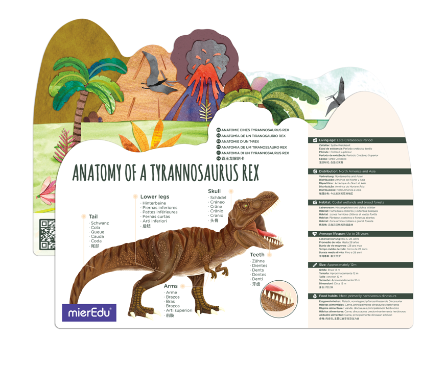 MierEdu Adjustable ECO 3D Puzzles - Dino Theme - Tyrannosaurus Rex