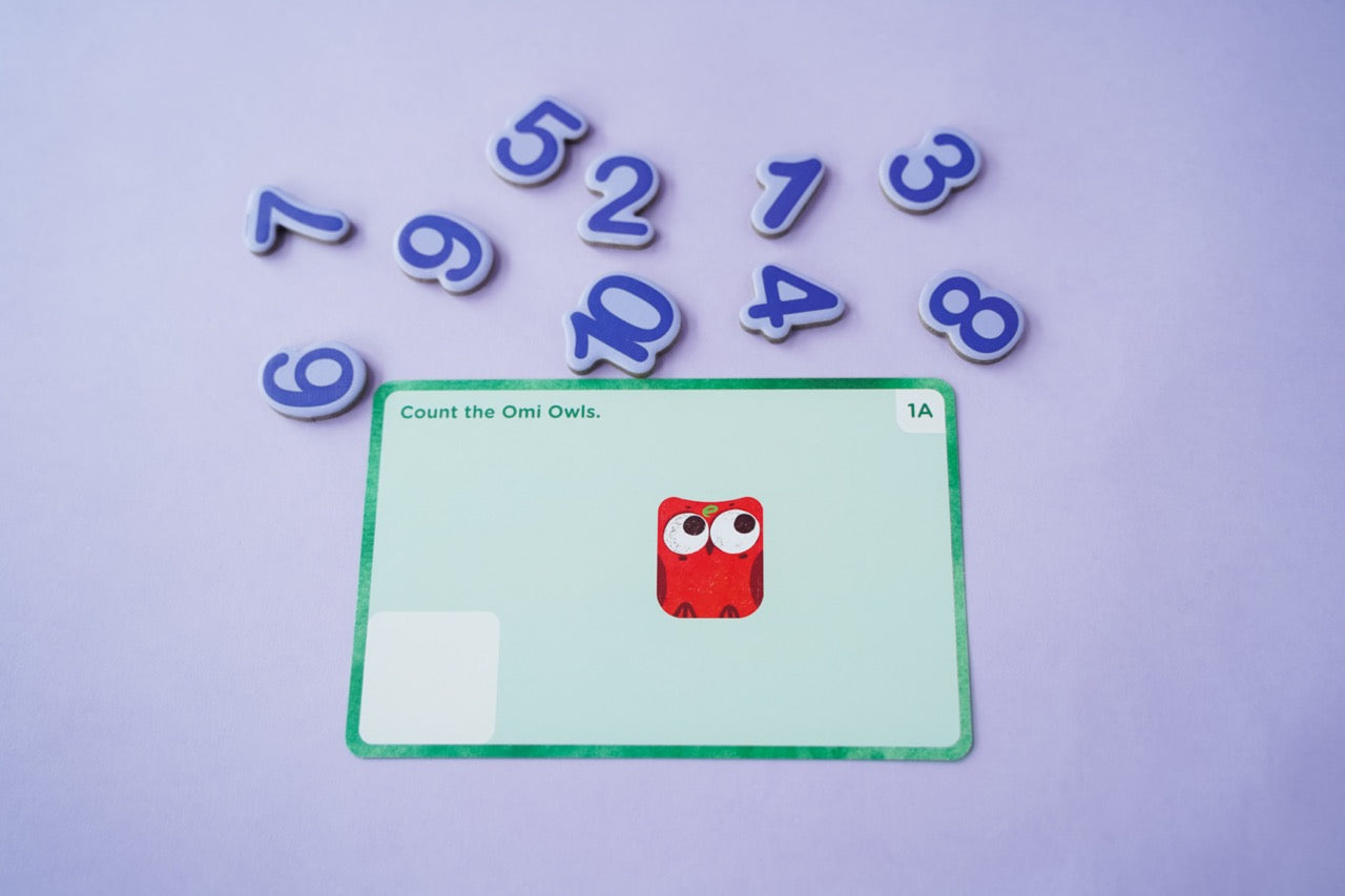 Omi Owl Counter Set