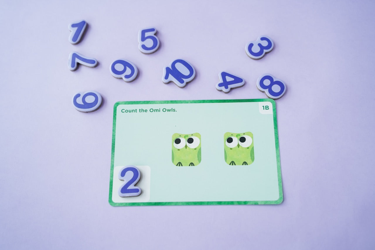 Omi Owl Counter Set