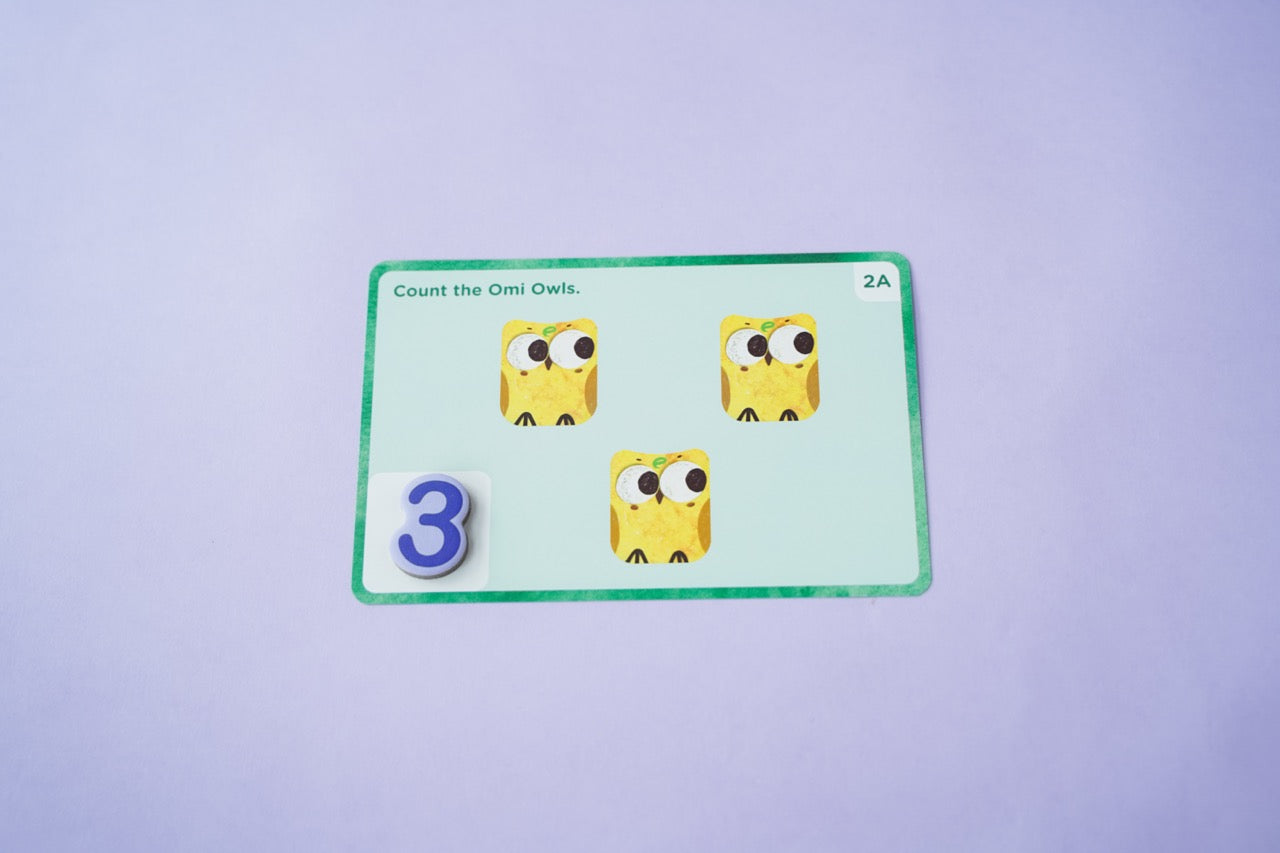 Omi Owl Counter Set