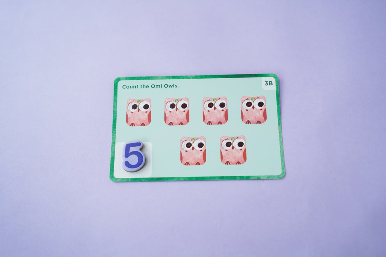 Omi Owl Counter Set