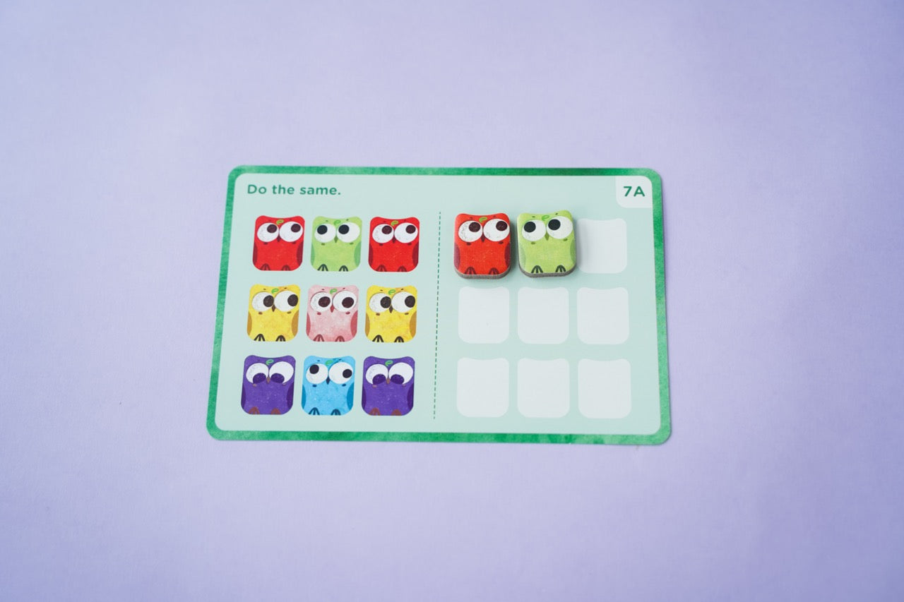 Omi Owl Counter Set