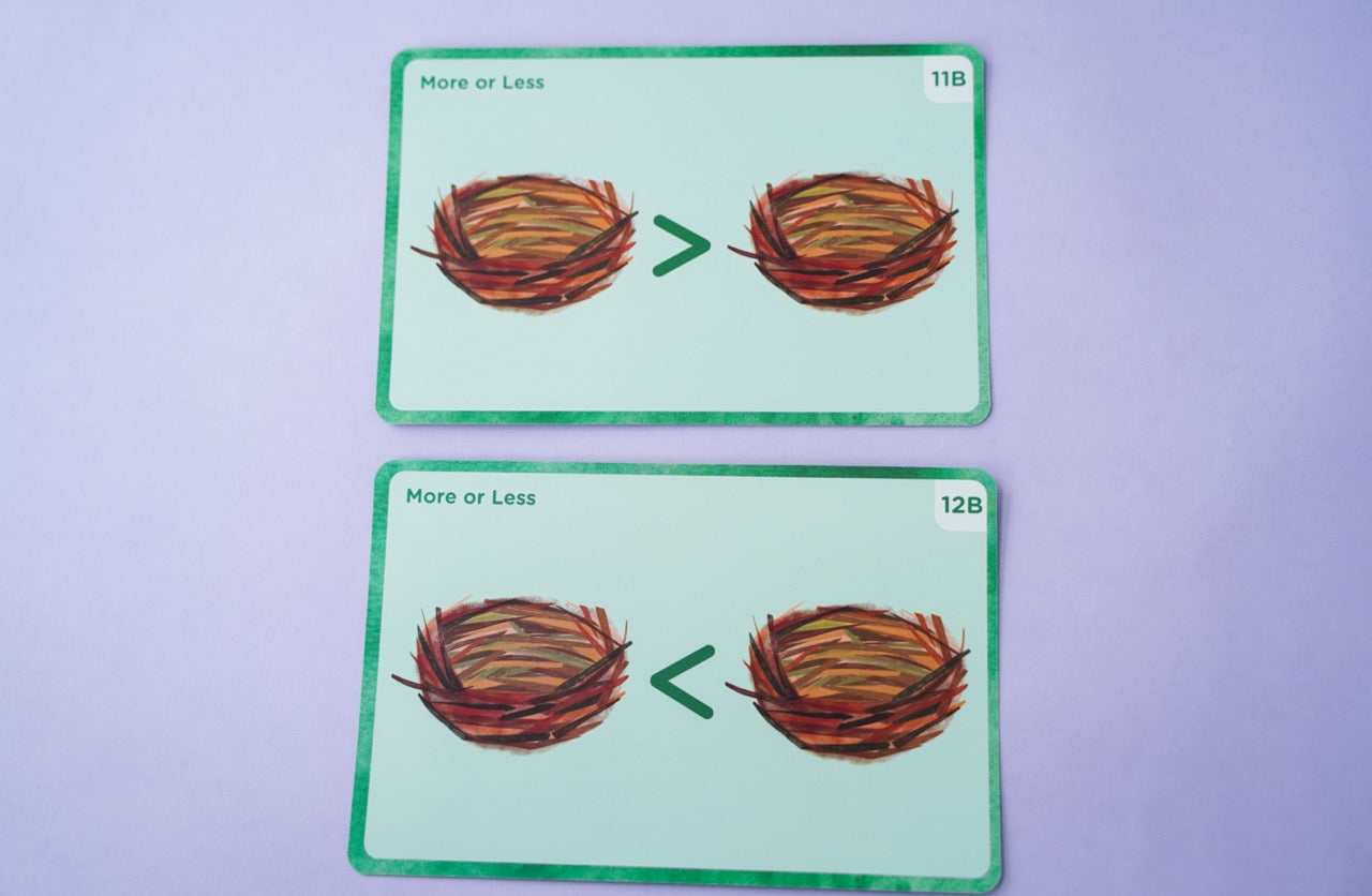 Omi Owl Counter Set