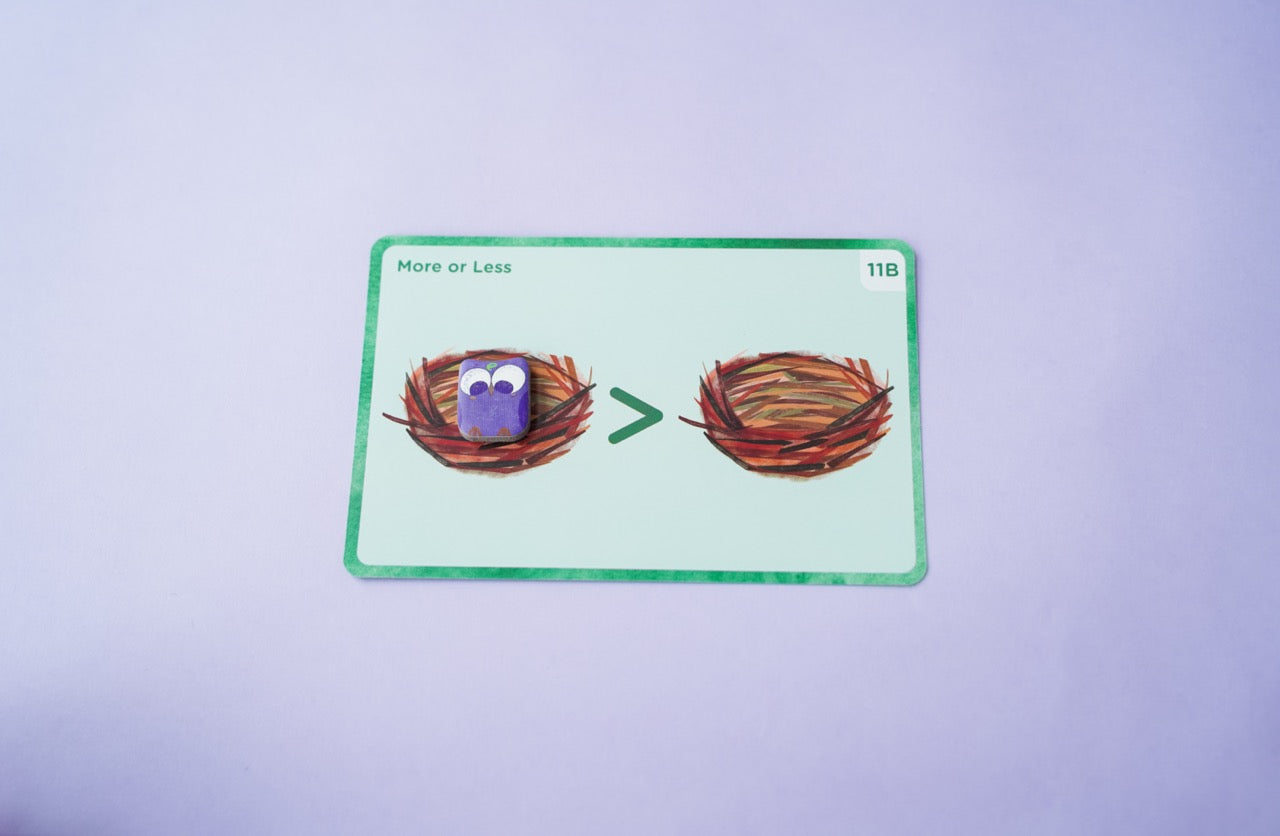 Omi Owl Counter Set