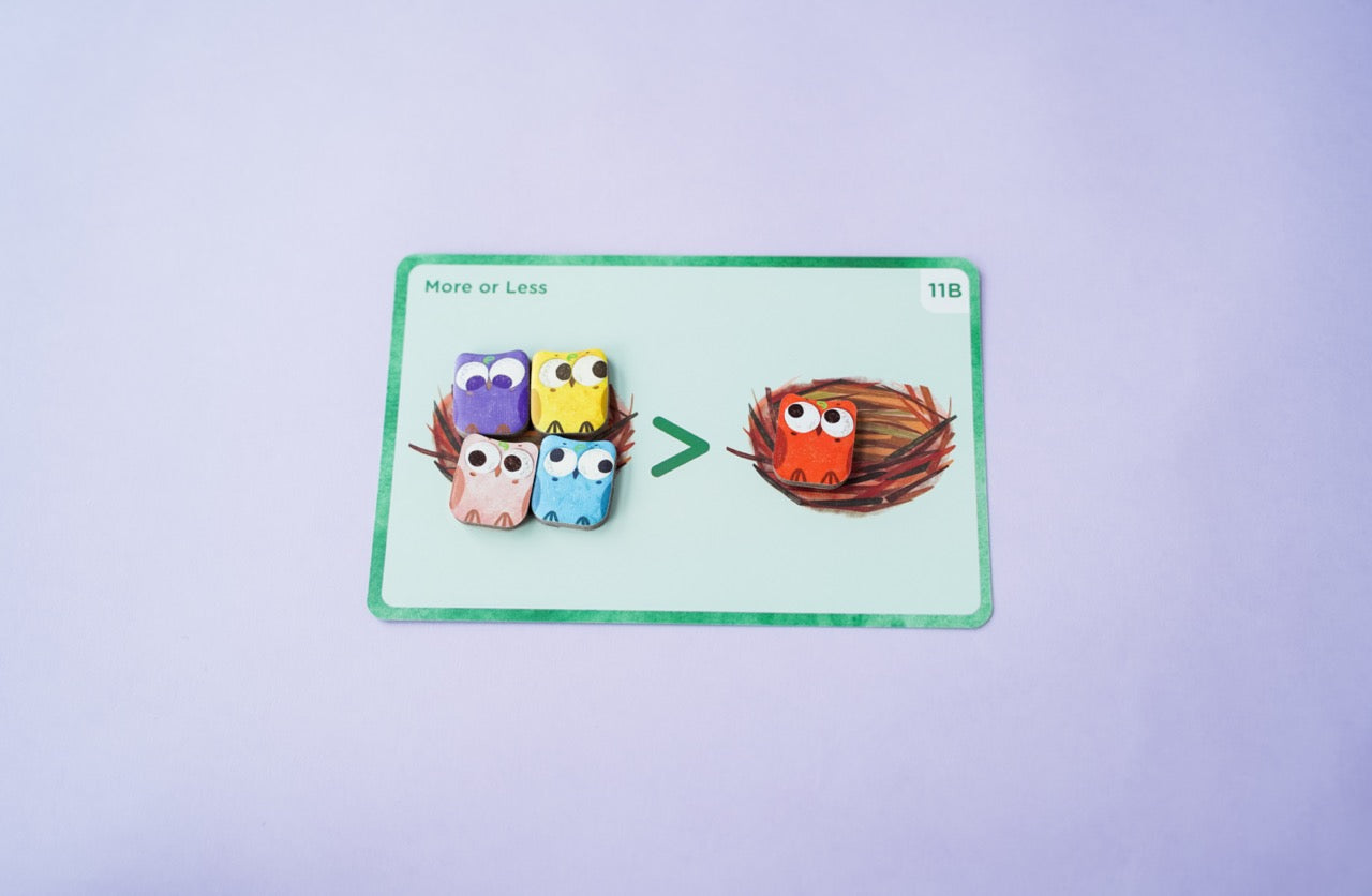 Omi Owl Counter Set