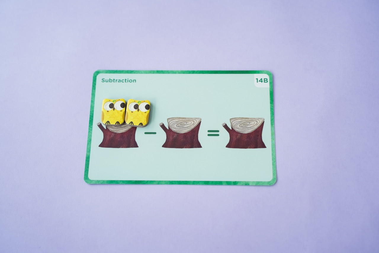 Omi Owl Counter Set