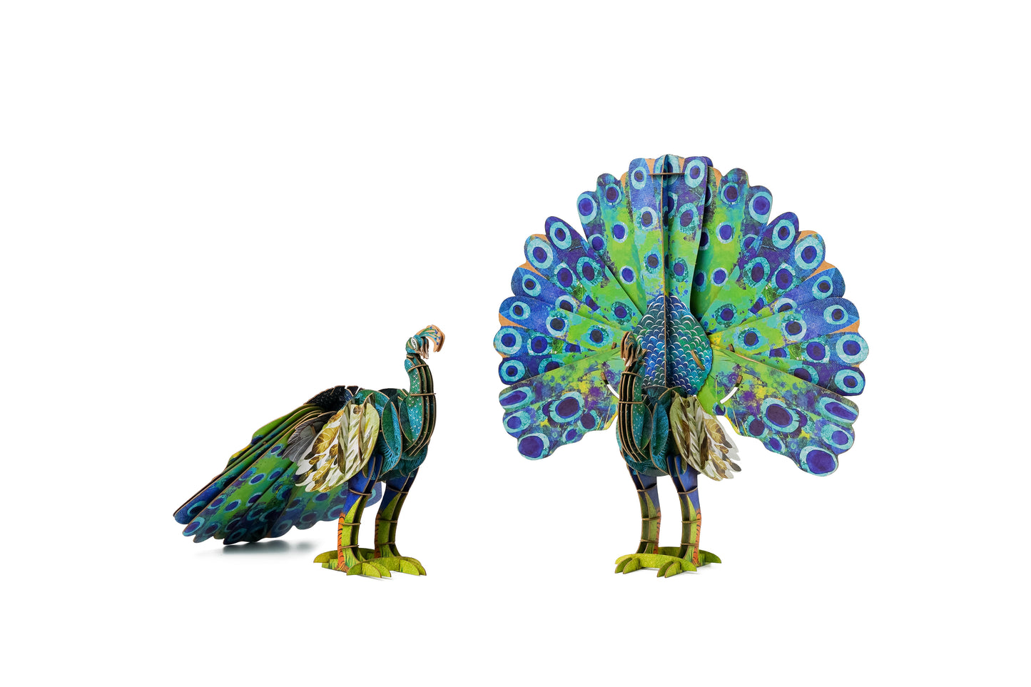 ECO 3D Puzzles - Peacock
