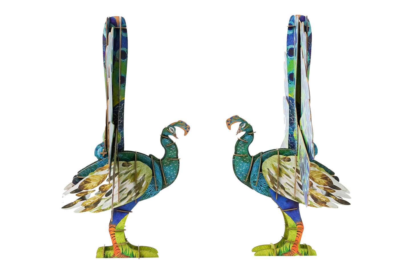ECO 3D Puzzles - Peacock