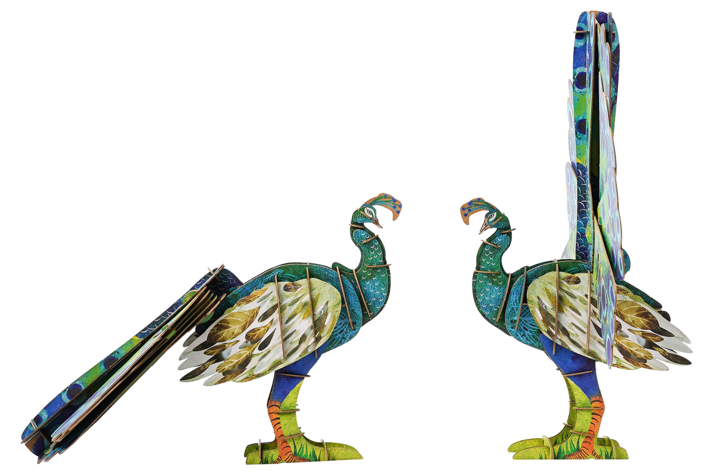 ECO 3D Puzzles - Peacock