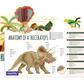 MierEdu Adjustable ECO 3D Puzzles - Dino Theme - Triceratops