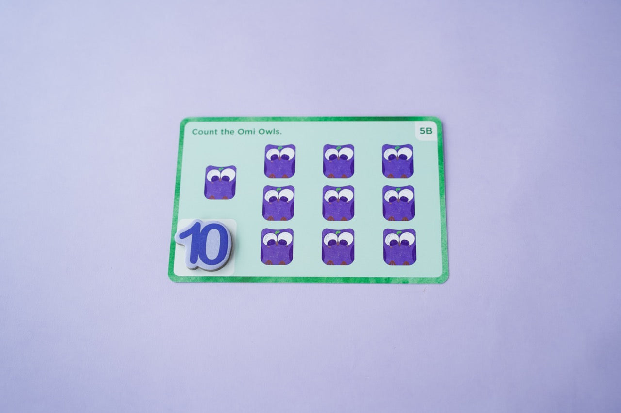 Omi Owl Counter Set