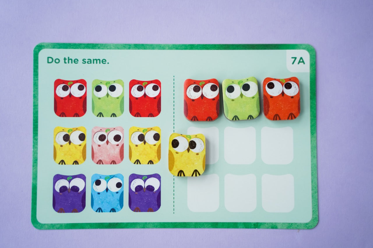 Omi Owl Counter Set