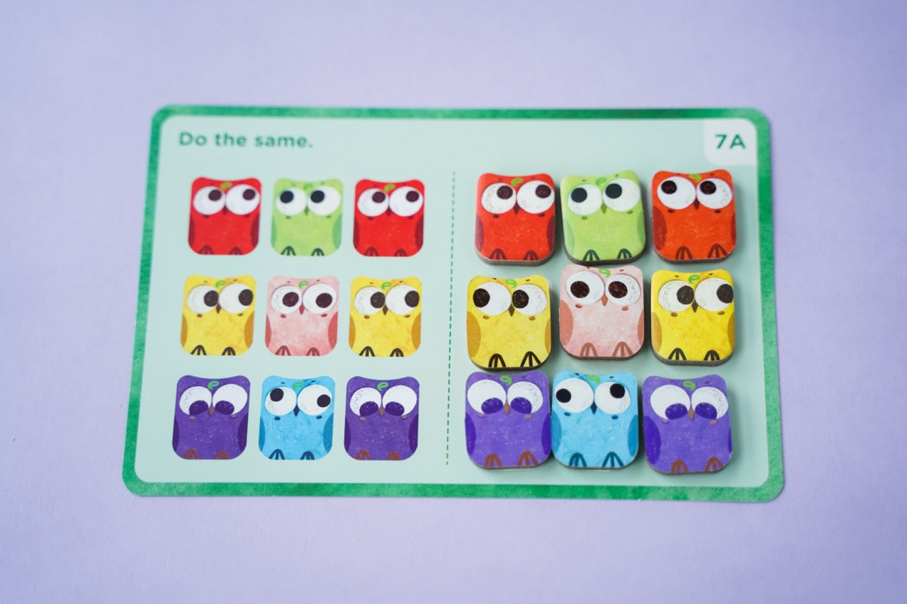 Omi Owl Counter Set