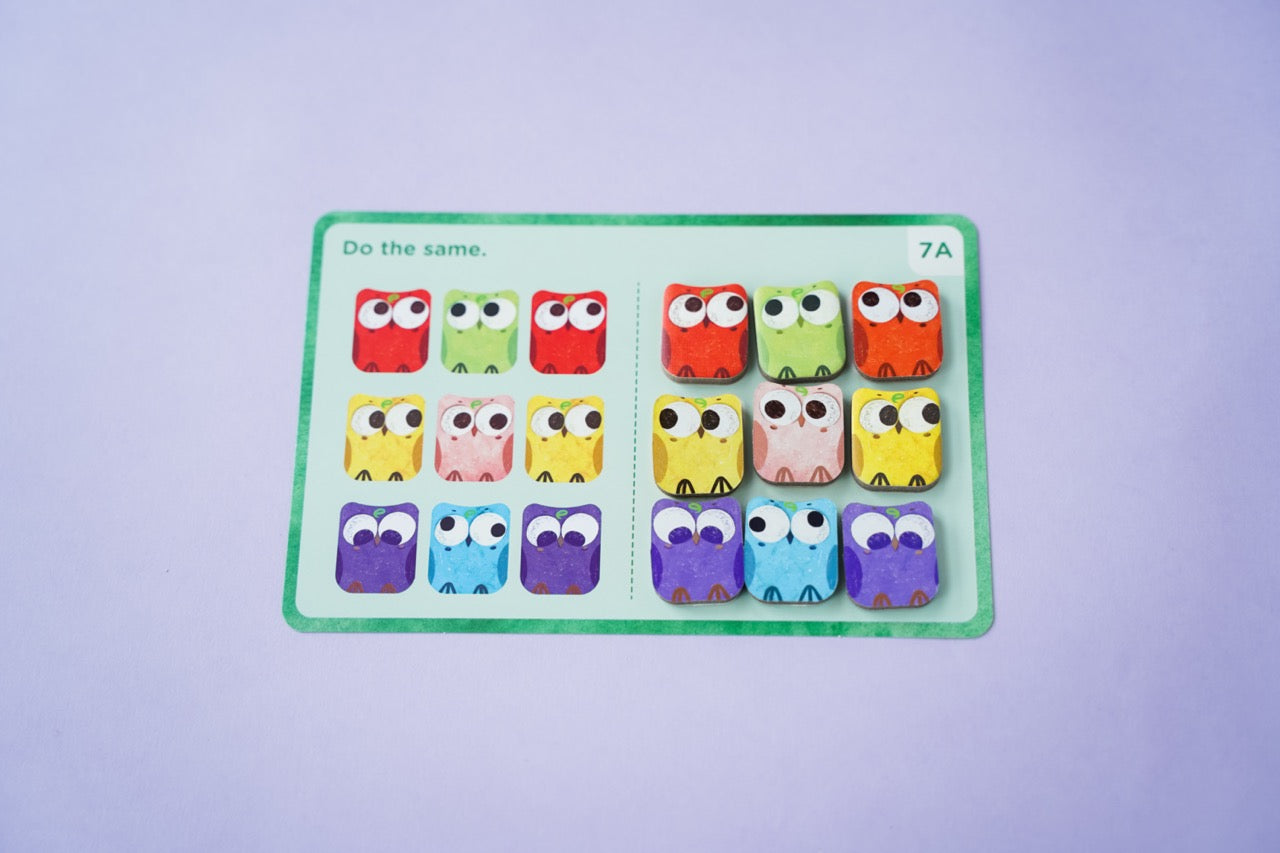 Omi Owl Counter Set