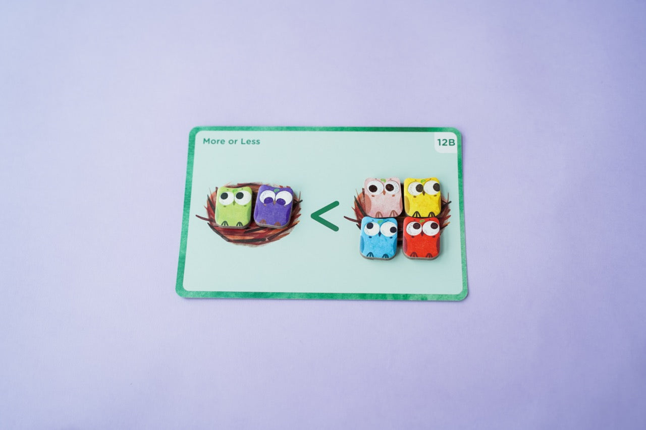 Omi Owl Counter Set