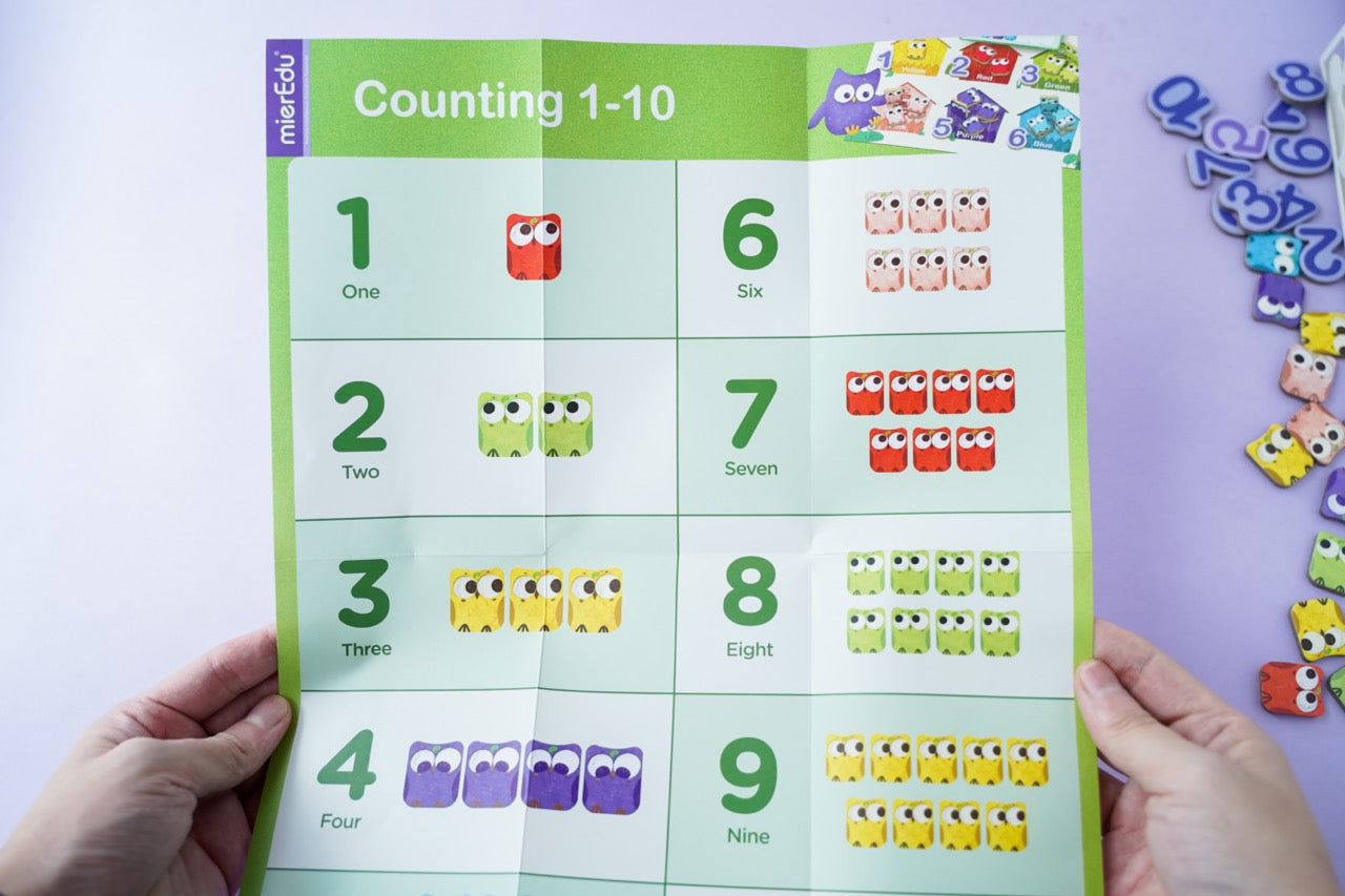 Omi Owl Counter Set