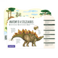 MierEdu Adjustable ECO 3D Puzzles - Dino Theme - Stegosaurus